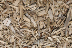 biomass boilers Barden